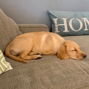 Meet your Posher, Robert